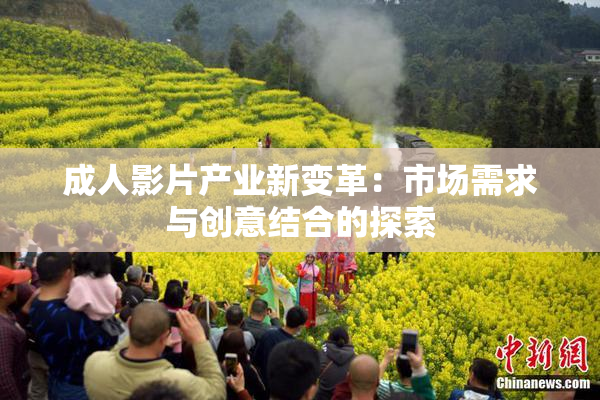 成人影片产业新变革：市场需求与创意结合的探索