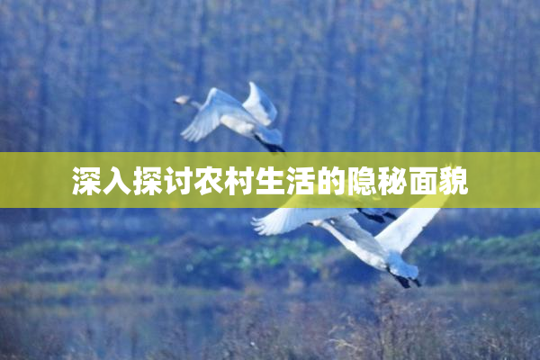 深入探讨农村生活的隐秘面貌