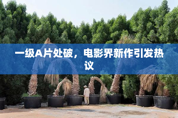 一级A片处破，电影界新作引发热议