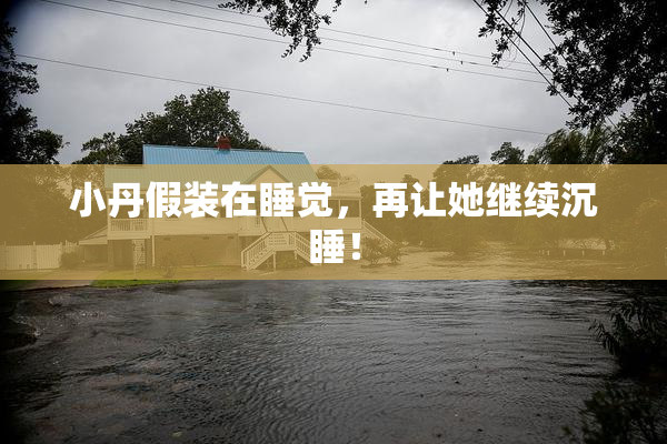 小丹假装在睡觉，再让她继续沉睡！