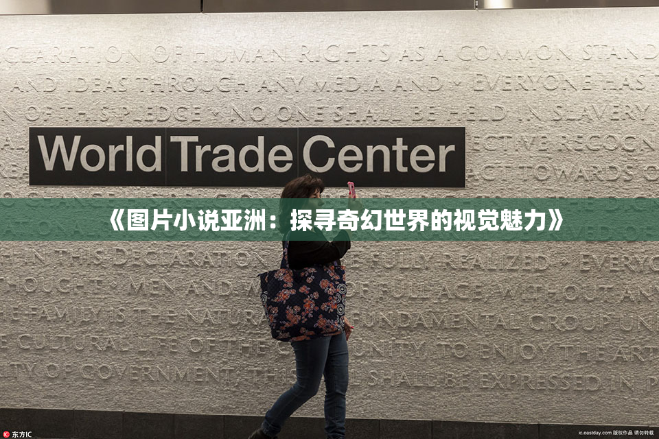 《图片小说亚洲：探寻奇幻世界的视觉魅力》