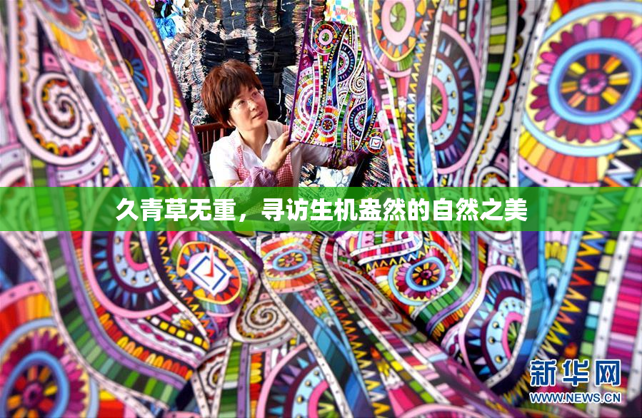 久青草无重，寻访生机盎然的自然之美