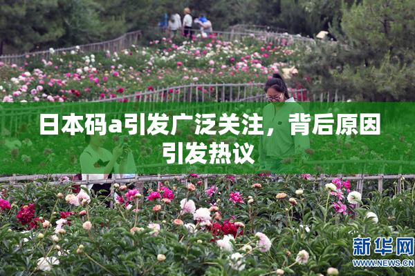 日本码a引发广泛关注，背后原因引发热议