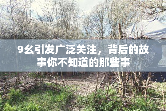 9幺引发广泛关注，背后的故事你不知道的那些事
