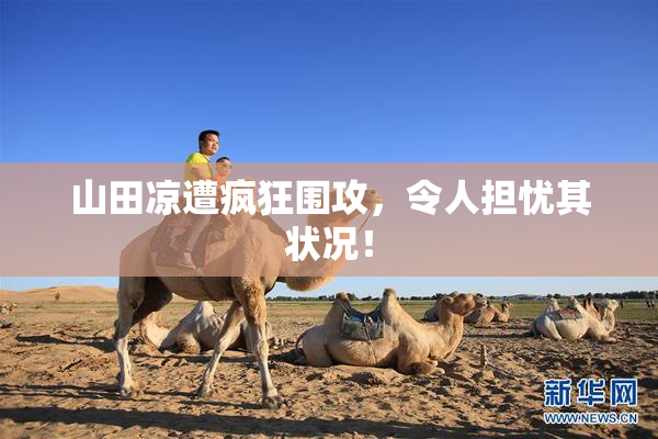 山田凉遭疯狂围攻，令人担忧其状况！