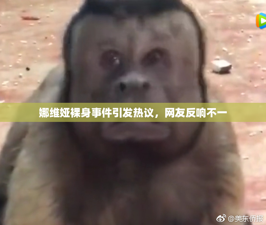 娜维娅裸身事件引发热议，网友反响不一