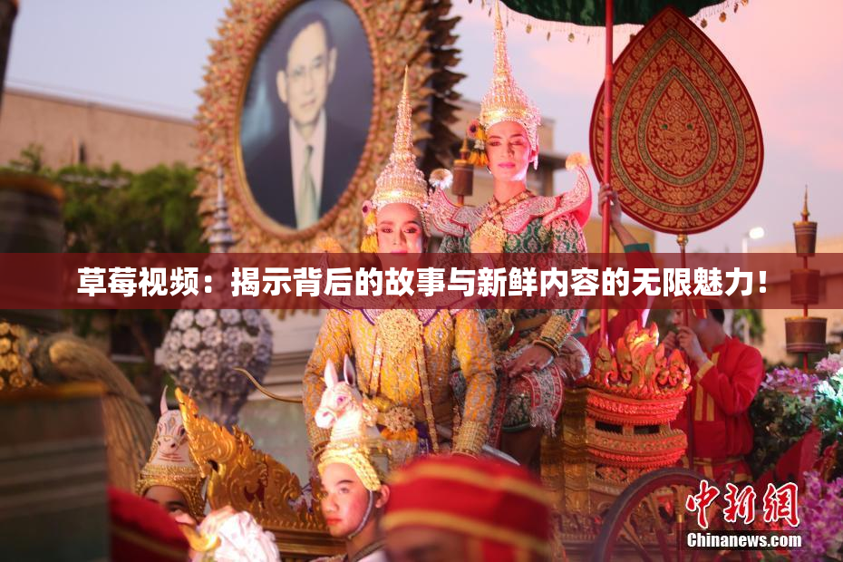 草莓视频：揭示背后的故事与新鲜内容的无限魅力！