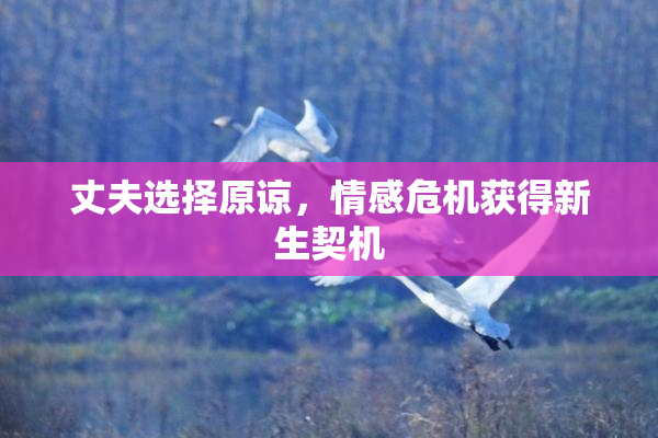 丈夫选择原谅，情感危机获得新生契机