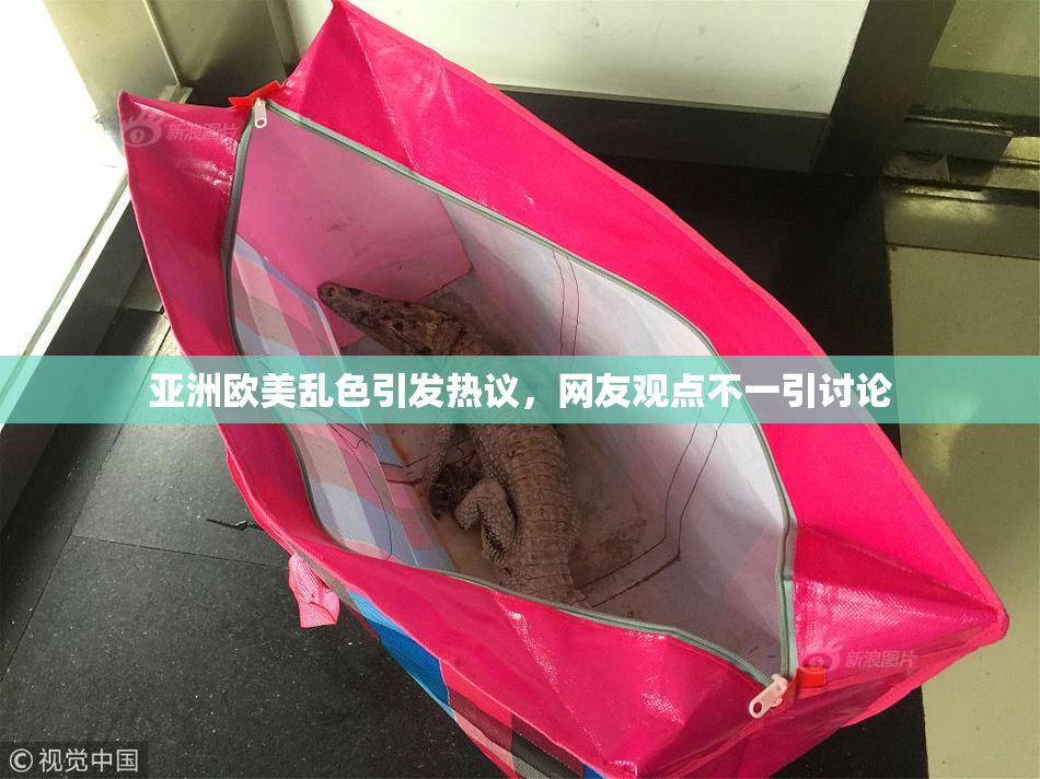亚洲欧美乱色引发热议，网友观点不一引讨论