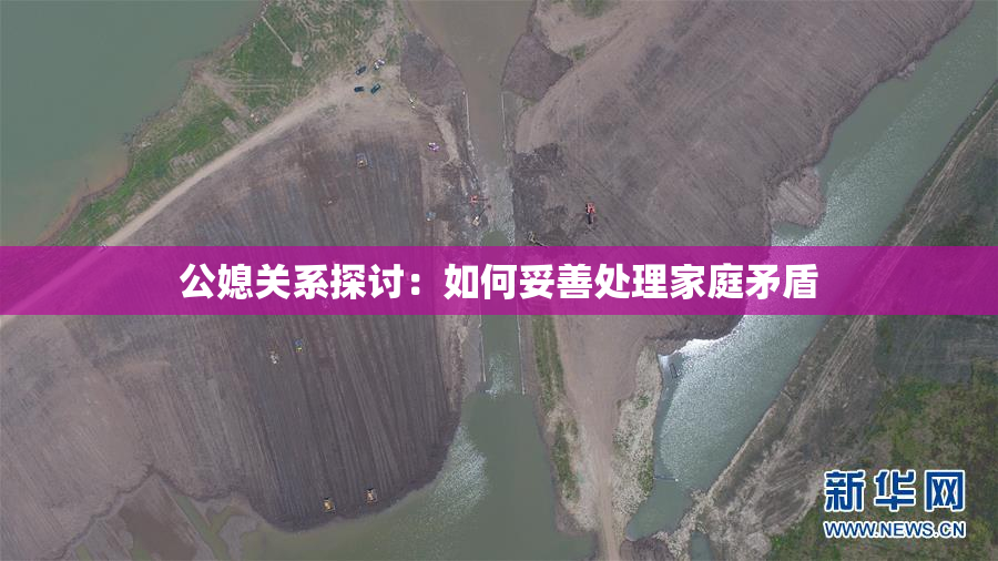 公媳关系探讨：如何妥善处理家庭矛盾