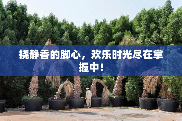 挠静香的脚心，欢乐时光尽在掌握中！