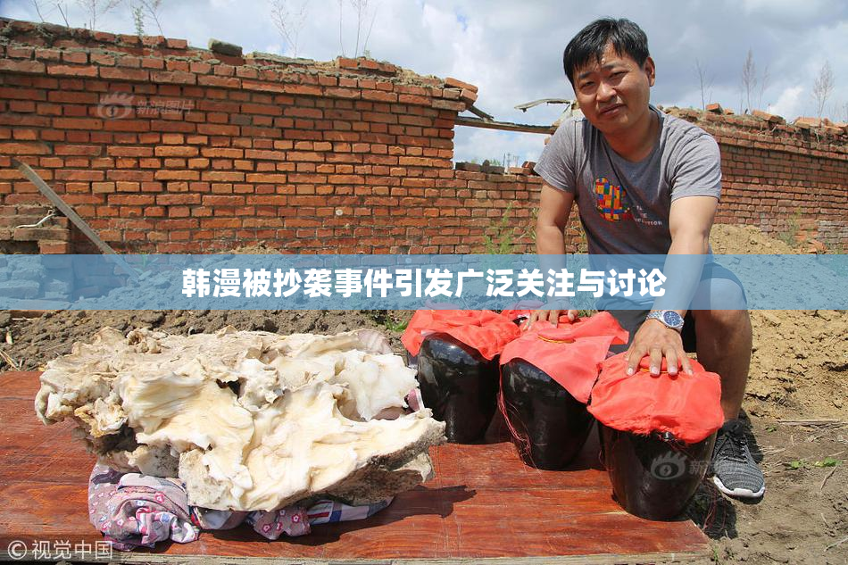 韩漫被抄袭事件引发广泛关注与讨论