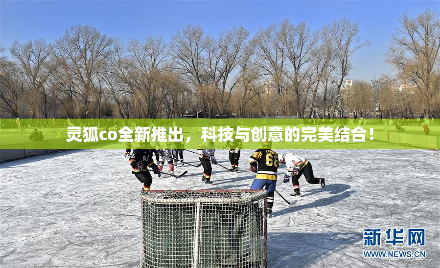 灵狐co全新推出，科技与创意的完美结合！
