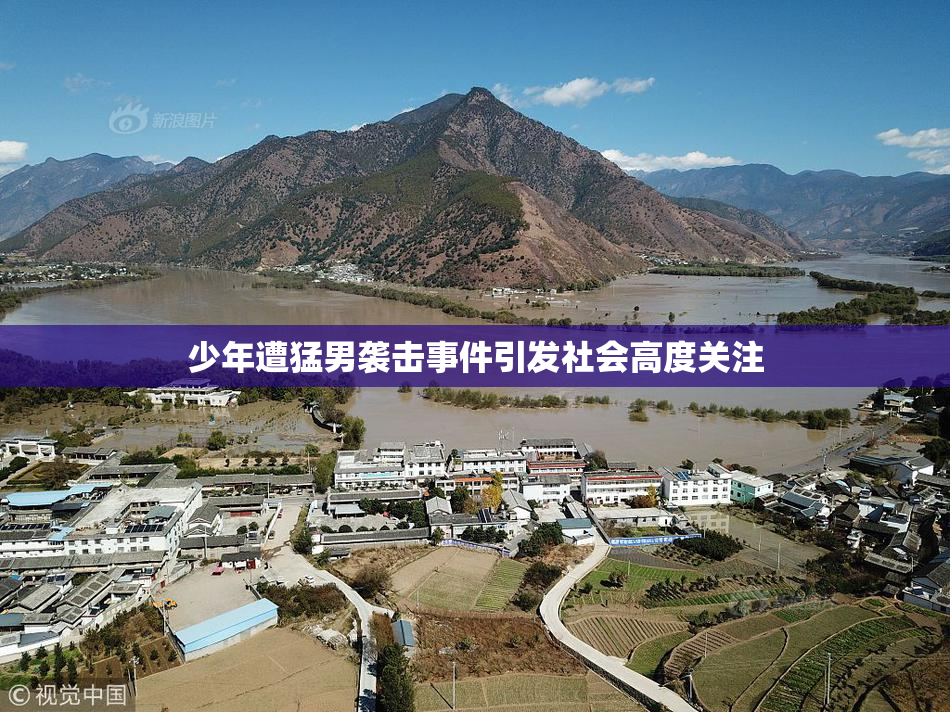 少年遭猛男袭击事件引发社会高度关注
