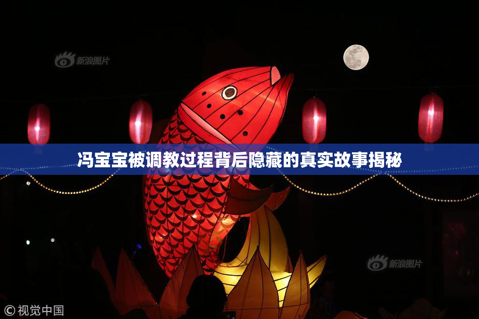 冯宝宝被调教过程背后隐藏的真实故事揭秘
