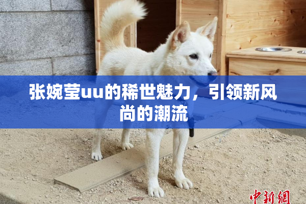 张婉莹uu的稀世魅力，引领新风尚的潮流