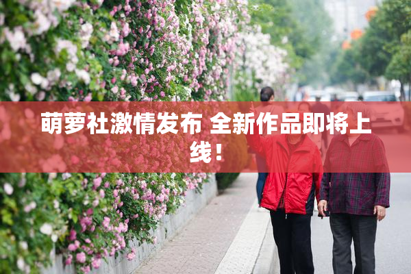 萌萝社激情发布 全新作品即将上线！