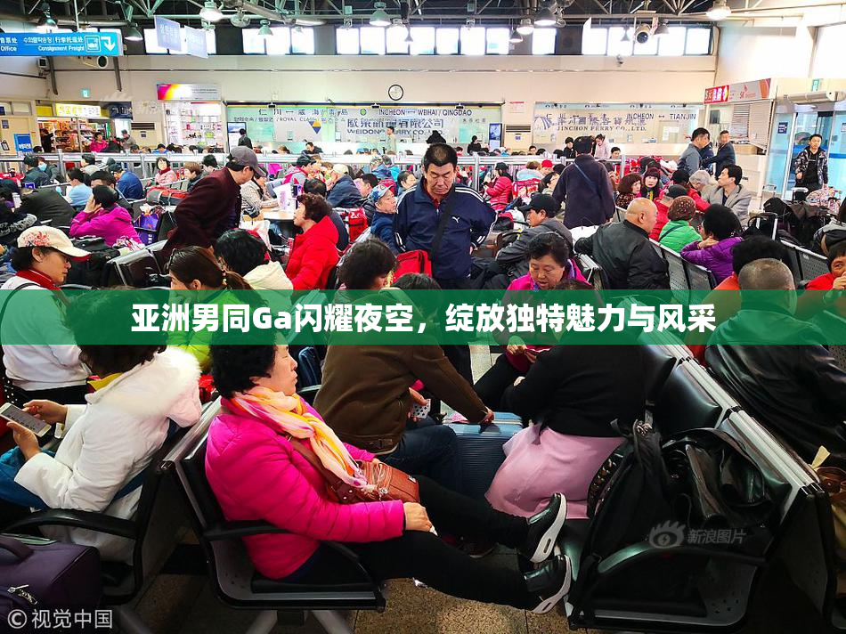 亚洲男同Ga闪耀夜空，绽放独特魅力与风采