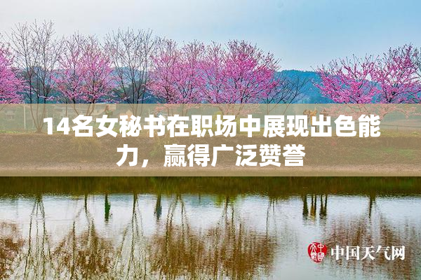 14名女秘书在职场中展现出色能力，赢得广泛赞誉