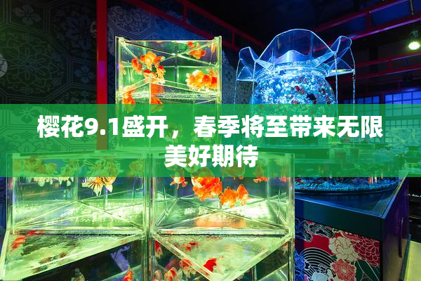 樱花9.1盛开，春季将至带来无限美好期待