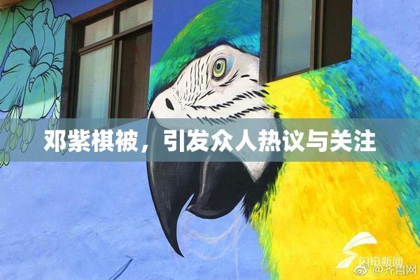 邓紫棋被，引发众人热议与关注