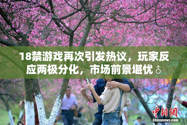 18禁游戏再次引发热议，玩家反应两极分化，市场前景堪忧♂