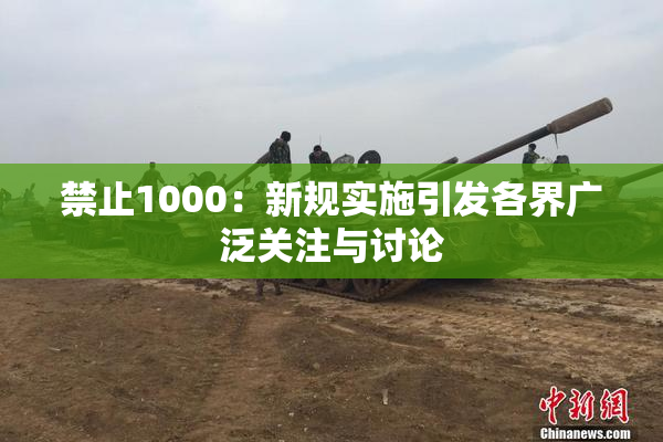 禁止1000：新规实施引发各界广泛关注与讨论