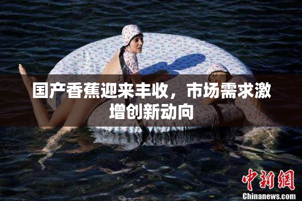 国产香蕉迎来丰收，市场需求激增创新动向