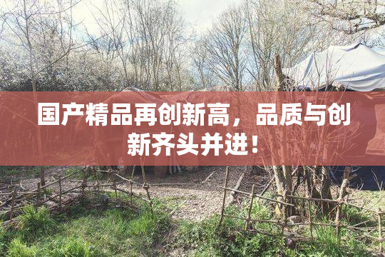 国产精品再创新高，品质与创新齐头并进！