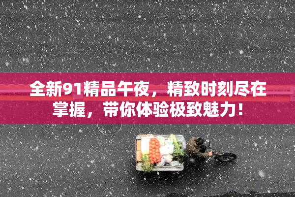 全新91精品午夜，精致时刻尽在掌握，带你体验极致魅力！