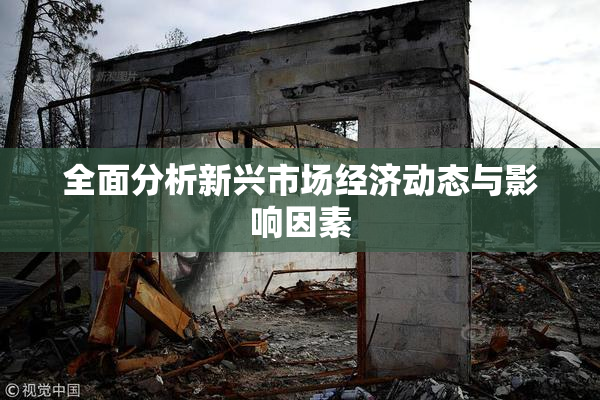 全面分析新兴市场经济动态与影响因素