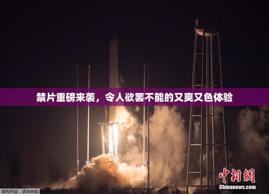 禁片重磅来袭，令人欲罢不能的又爽又色体验