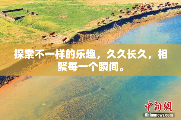 探索不一样的乐趣，久久长久，相聚每一个瞬间。