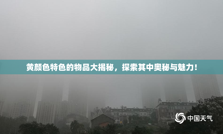 黄颜色特色的物品大揭秘，探索其中奥秘与魅力！