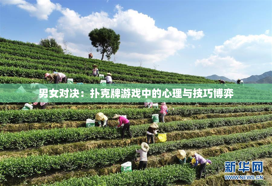 男女对决：扑克牌游戏中的心理与技巧博弈