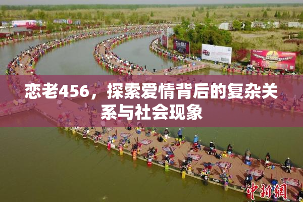 恋老456，探索爱情背后的复杂关系与社会现象