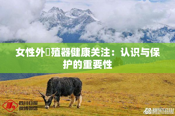 女性外夝殖器健康关注：认识与保护的重要性