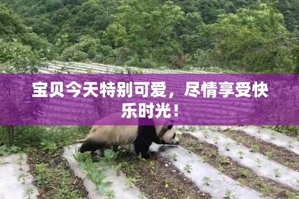 宝贝今天特别可爱，尽情享受快乐时光！