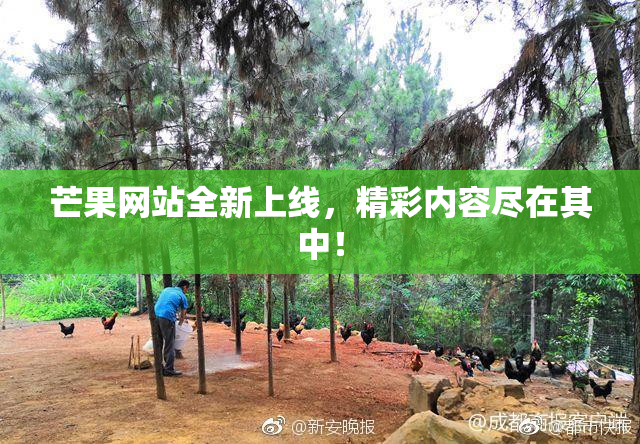 芒果网站全新上线，精彩内容尽在其中！