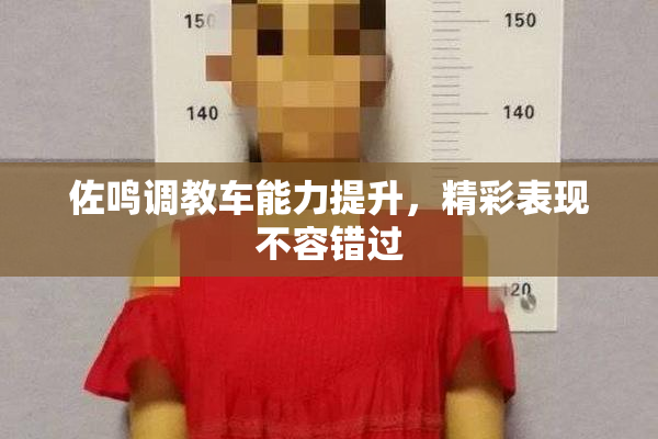 佐鸣调教车能力提升，精彩表现不容错过