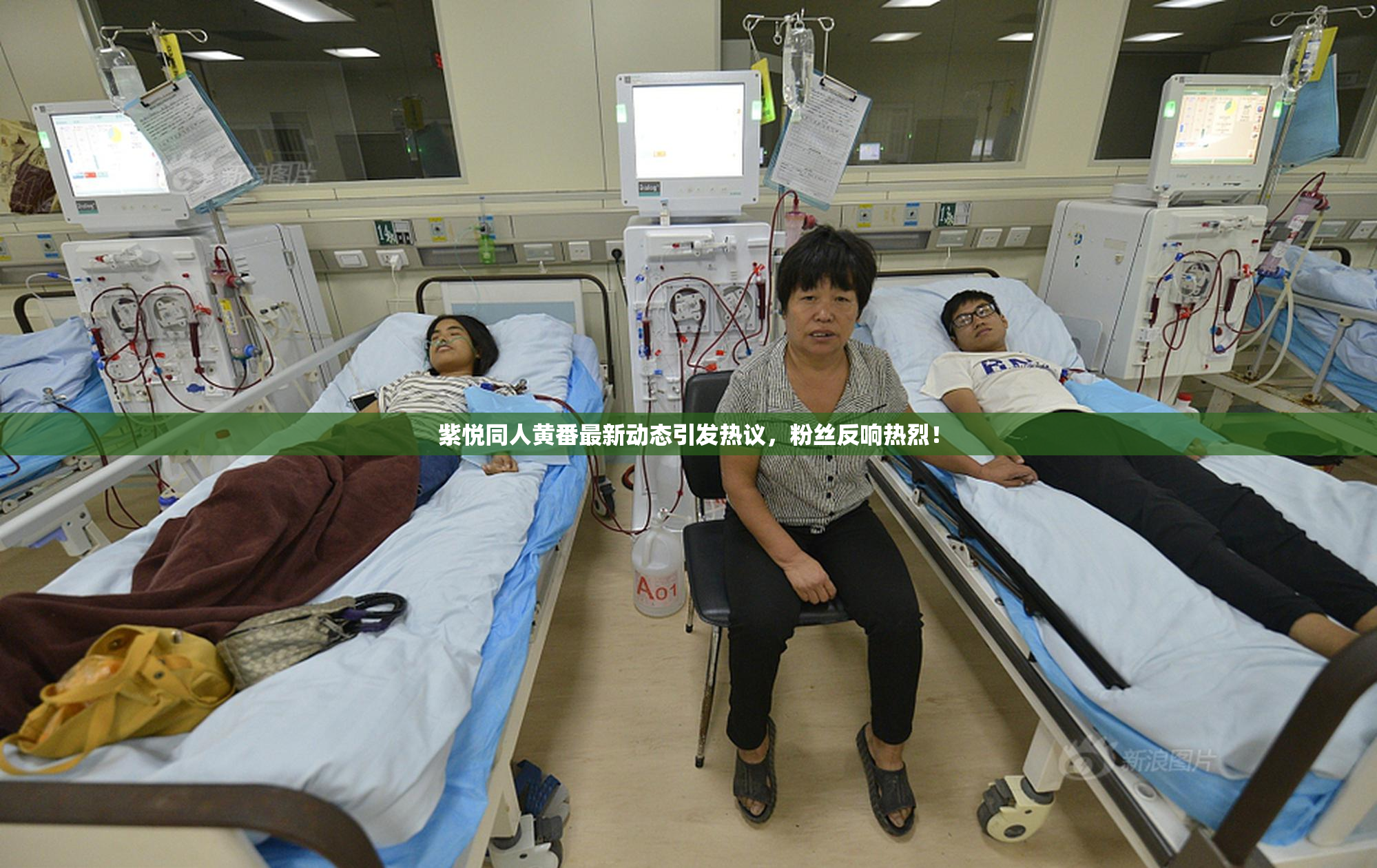 紫悦同人黄番最新动态引发热议，粉丝反响热烈！