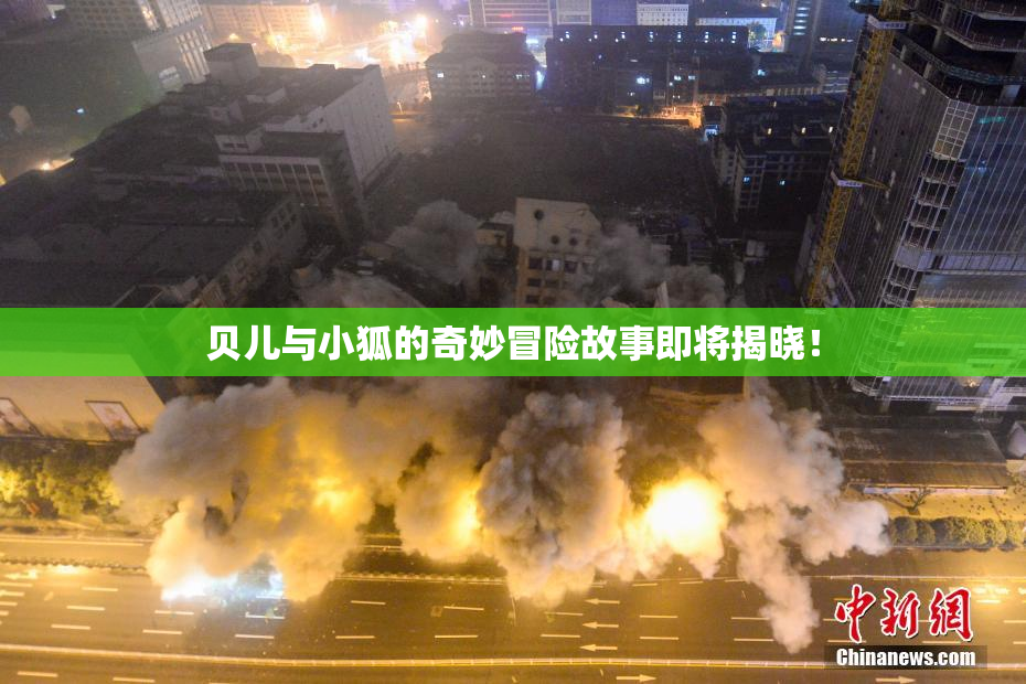 贝儿与小狐的奇妙冒险故事即将揭晓！