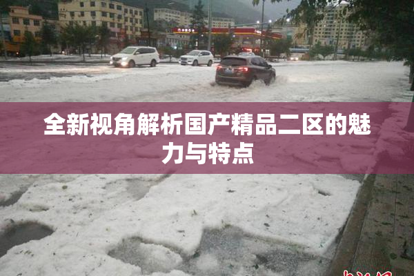 全新视角解析国产精品二区的魅力与特点