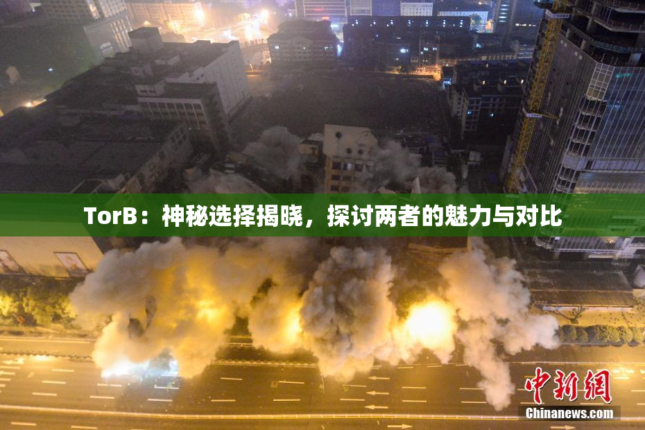 TorB：神秘选择揭晓，探讨两者的魅力与对比
