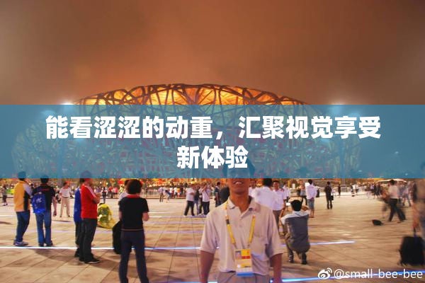 能看涩涩的动重，汇聚视觉享受新体验