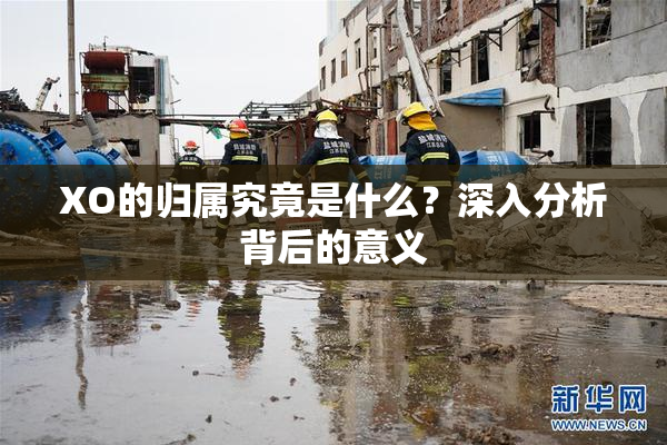 XO的归属究竟是什么？深入分析背后的意义
