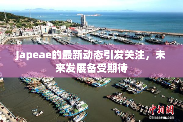 Japeae的最新动态引发关注，未来发展备受期待