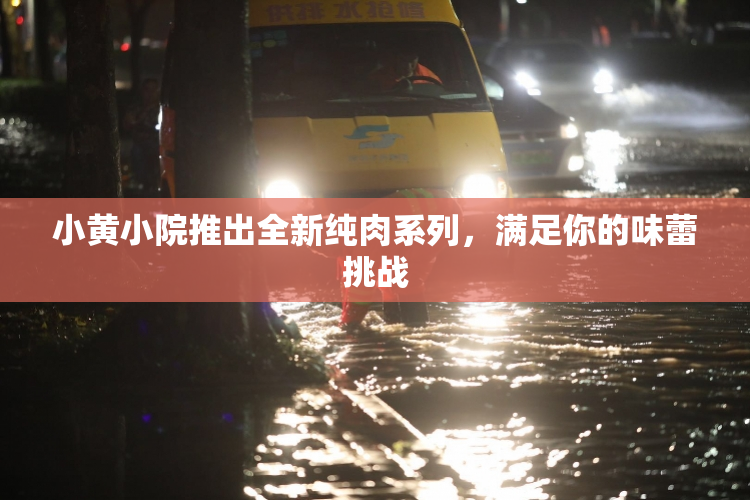 小黄小院推出全新纯肉系列，满足你的味蕾挑战