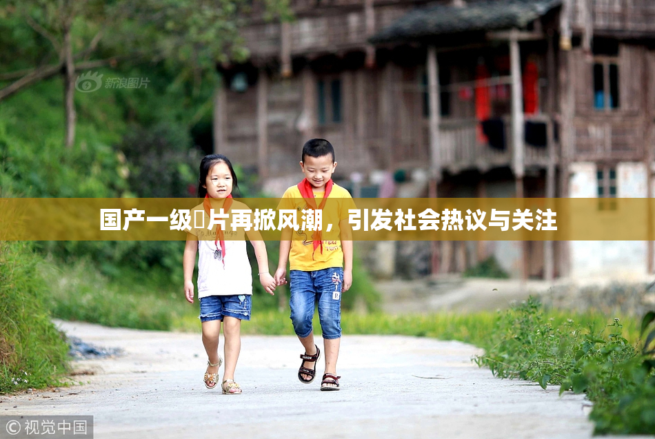 国产一级婬片再掀风潮，引发社会热议与关注