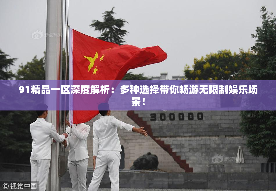 91精品一区深度解析：多种选择带你畅游无限制娱乐场景！